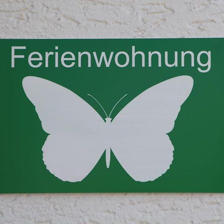 Ferienwohnung Schmetterling Trendelburg Ngoại thất bức ảnh